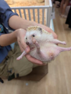 アニタッチ MARK IS 静岡に投稿された画像（2024/8/24）