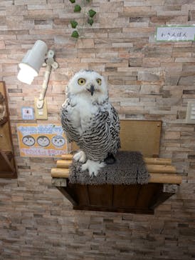 アニタッチ MARK IS 静岡に投稿された画像（2024/8/24）