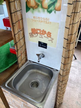 矢口果樹園に投稿された画像（2024/8/24）