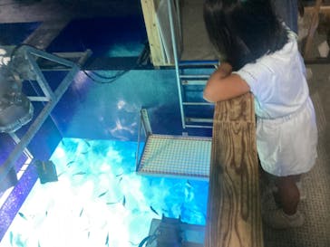 サンシャイン水族館に投稿された画像（2024/8/24）