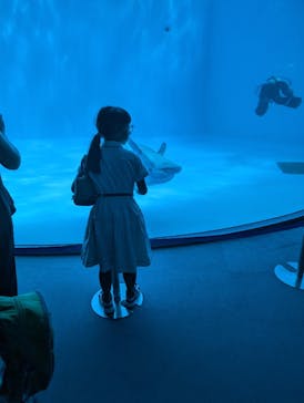 名古屋港水族館に投稿された画像（2024/8/24）