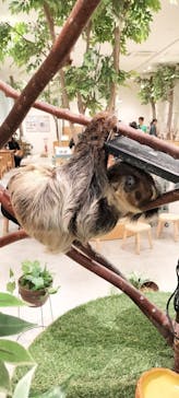 Moff animal cafe イオンモール新利府店に投稿された画像（2024/8/24）