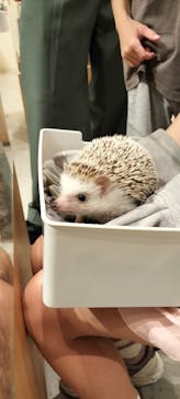 Moff animal cafe イオンモール新利府店に投稿された画像（2024/8/24）