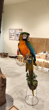 Moff animal cafe イオンモール新利府店に投稿された画像（2024/8/24）