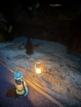 新江ノ島水族館に投稿された画像（2024/8/24）