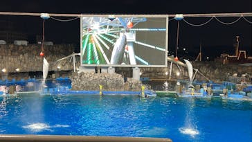 名古屋港水族館に投稿された画像（2024/8/24）