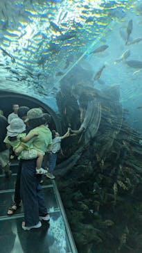 上越市立水族博物館 うみがたりに投稿された画像（2024/8/24）