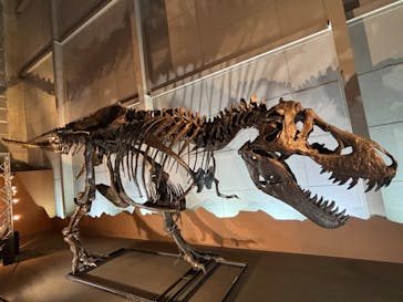 巨大恐竜展2024に投稿された画像（2024/8/24）