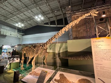 巨大恐竜展2024に投稿された画像（2024/8/24）