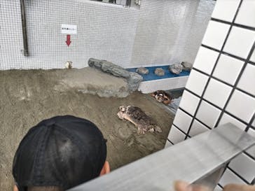 名古屋港水族館に投稿された画像（2024/8/24）