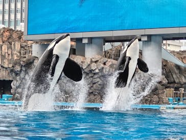 名古屋港水族館に投稿された画像（2024/8/24）