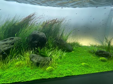 AOAO SAPPOROに投稿された画像（2024/8/24）