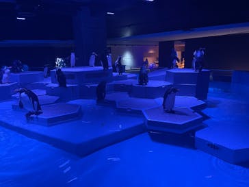 AOAO SAPPOROに投稿された画像（2024/8/24）