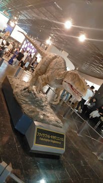 福井県立恐竜博物館に投稿された画像（2024/8/24）