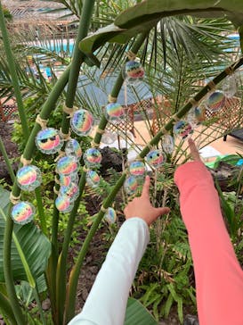 東京サマーランドに投稿された画像（2024/8/24）