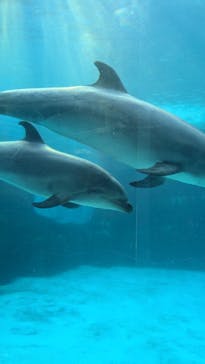 名古屋港水族館に投稿された画像（2024/8/24）