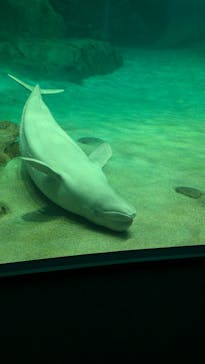 名古屋港水族館に投稿された画像（2024/8/24）