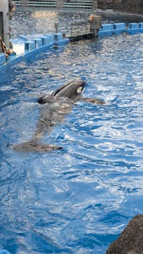 名古屋港水族館に投稿された画像（2024/8/24）