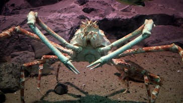 名古屋港水族館に投稿された画像（2024/8/24）