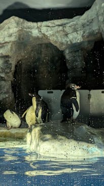 名古屋港水族館に投稿された画像（2024/8/24）