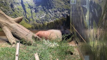 恩賜上野動物園に投稿された画像（2024/8/24）