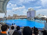 名古屋港水族館に投稿された画像（2024/8/24）