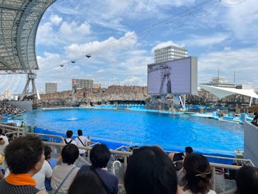 名古屋港水族館に投稿された画像（2024/8/24）
