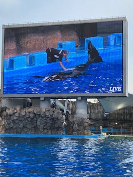 名古屋港水族館に投稿された画像（2024/8/24）