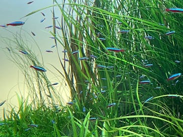 AOAO SAPPOROに投稿された画像（2024/8/24）