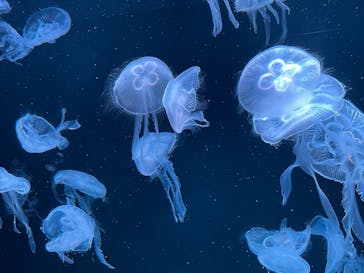 AOAO SAPPOROに投稿された画像（2024/8/24）