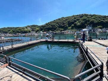 海上釣り 堀太公望に投稿された画像（2024/8/24）