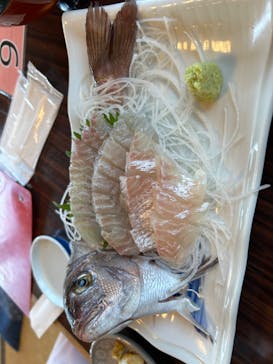 海上釣り 堀太公望に投稿された画像（2024/8/24）