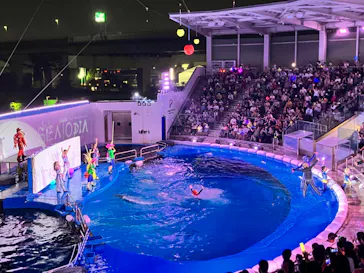 仙台うみの杜水族館に投稿された画像（2024/8/24）