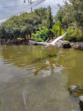 神戸どうぶつ王国に投稿された画像（2024/8/24）