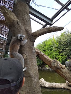 神戸どうぶつ王国に投稿された画像（2024/8/24）