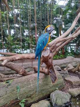 神戸どうぶつ王国に投稿された画像（2024/8/24）