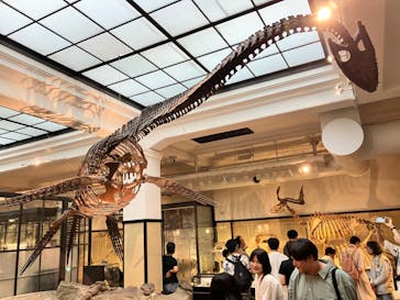 国立科学博物館に投稿された画像（2024/8/24）