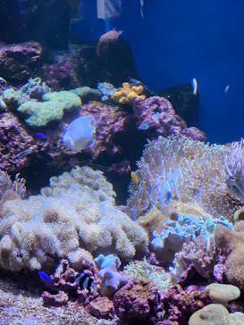 仙台うみの杜水族館に投稿された画像（2024/8/24）