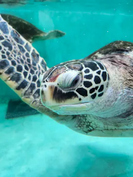 仙台うみの杜水族館に投稿された画像（2024/8/24）