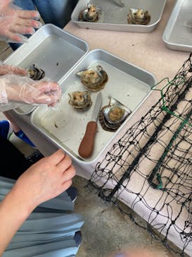 真珠工房 真珠の里に投稿された画像（2024/8/24）