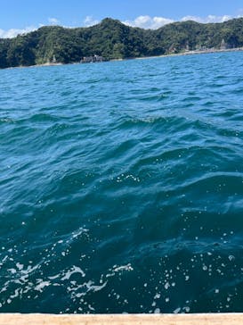 鯛の浦遊覧船に投稿された画像（2024/8/24）