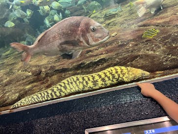 鴨川シーワールドに投稿された画像（2024/8/24）