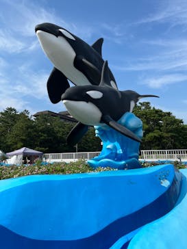 鴨川シーワールドに投稿された画像（2024/8/24）