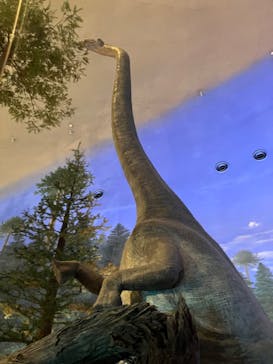 福井県立恐竜博物館に投稿された画像（2024/8/24）