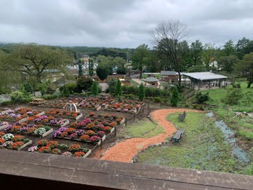 まかいの牧場に投稿された画像（2024/8/24）