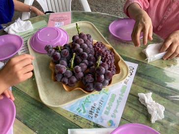 グレープガーデン　安全農園に投稿された画像（2024/8/24）