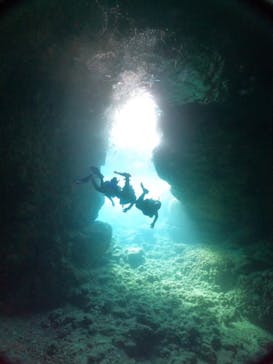 武藤潜水に投稿された画像（2024/8/24）