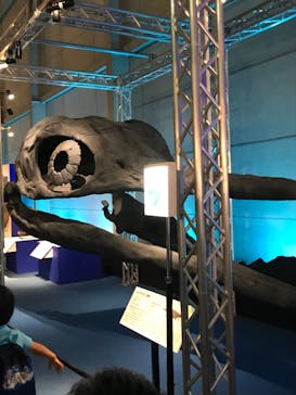 巨大恐竜展2024に投稿された画像（2024/8/25）