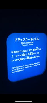 新江ノ島水族館に投稿された画像（2024/8/25）