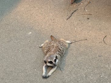 よこはま動物園ズーラシアに投稿された画像（2024/8/25）